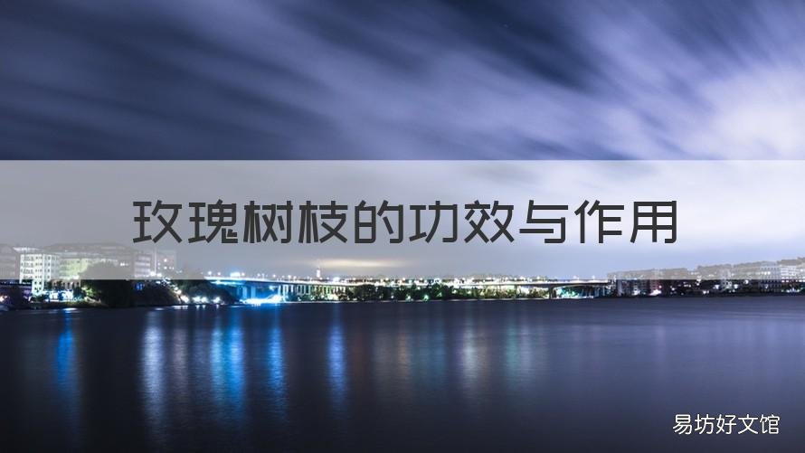 玫瑰树枝的功效与作用 树枝有什么功效