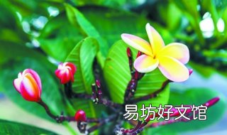 生机盎然的意思 生机盎然的意思和造句
