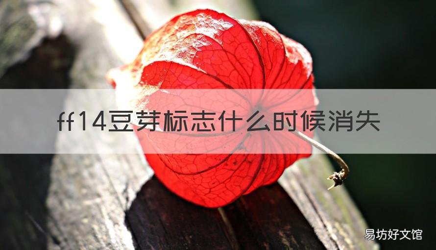 ff14豆芽标志什么时候消失 ff14豆芽标志什么时候消失2021