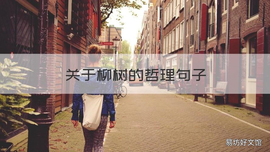关于柳树的哲理句子 关于柳树的短句
