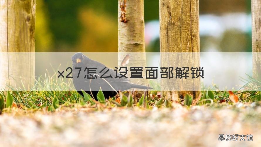 x27怎么设置面部解锁 ⅴiv0手机x27怎么设置人脸解锁