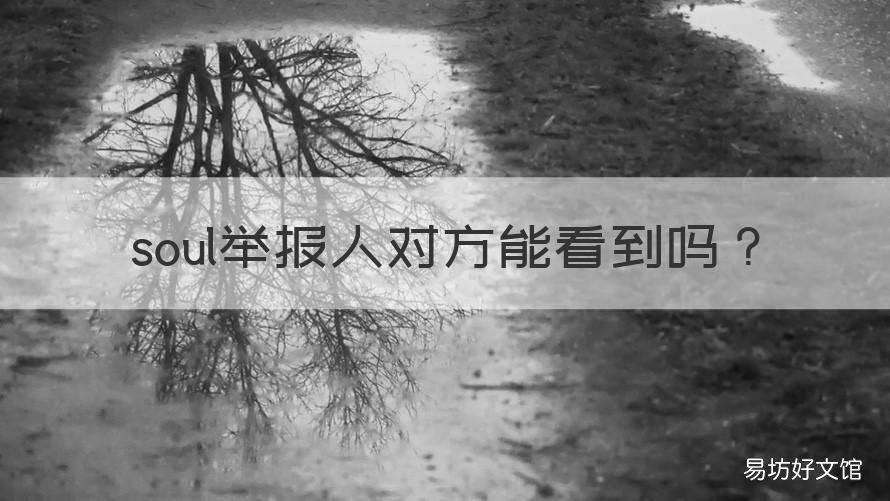 soul举报人对方能看到吗 soul举报成功自己会看到吗