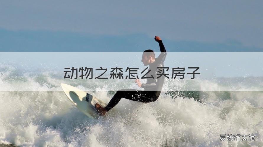 动物之森怎么买房子 动物之森小动物房子