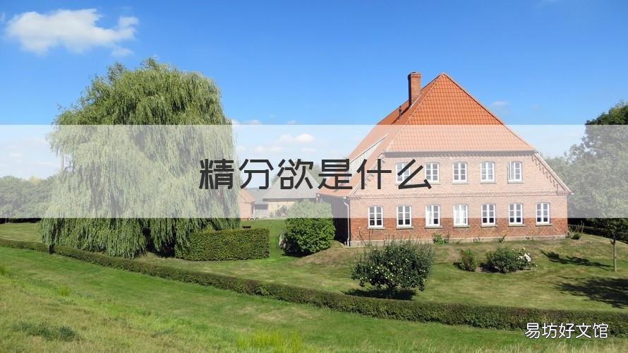 精分欲是什么 精分日常什么意思