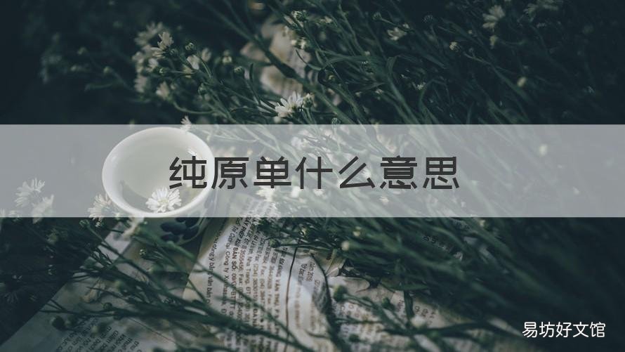 纯原单什么意思 什么叫纯原单