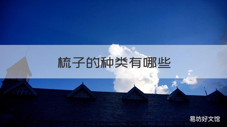 梳子的种类有哪些 梳子的种类有哪些英语