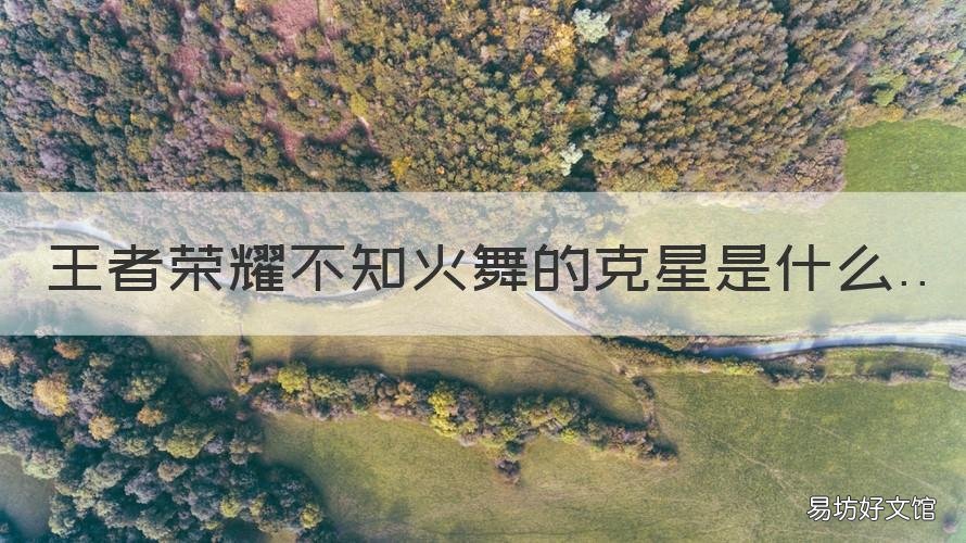 王者荣耀不知火舞的克星是什么 王者荣耀不知火舞被什么英雄克制