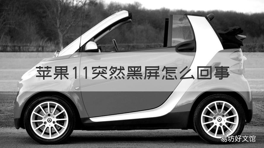 苹果11突然黑屏怎么回事 苹果11突然黑屏怎么回事按什么都没反应