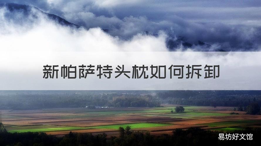 新帕萨特头枕如何拆卸 新帕萨特后排头枕拆卸图解