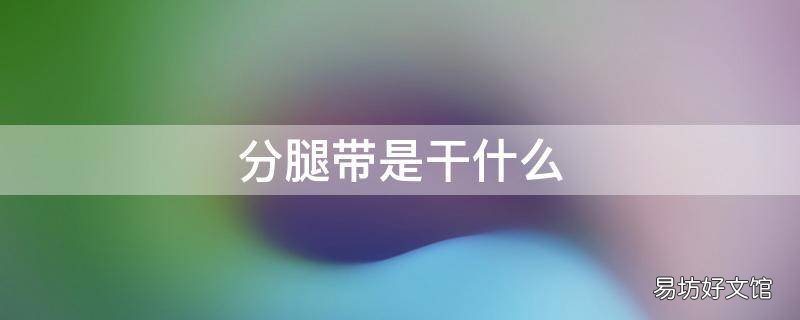 分腿带是干什么 小腿分腿带怎么用