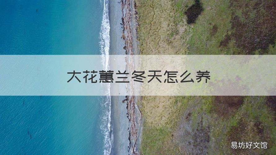 大花蕙兰冬天怎么养 大花蕙兰冬天养殖方法和注意事项