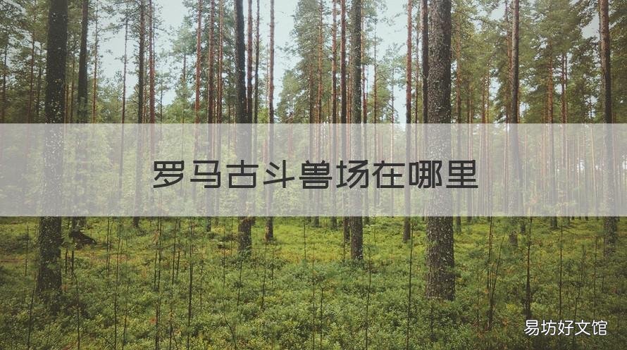 罗马古斗兽场在哪里 罗马古斗兽场在哪里建的