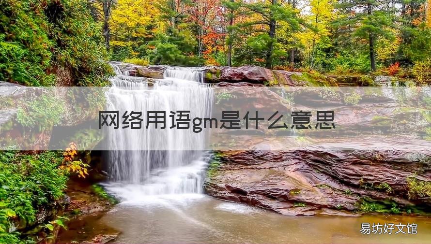 网络用语gm是什么意思 gml网络用语是什么意思