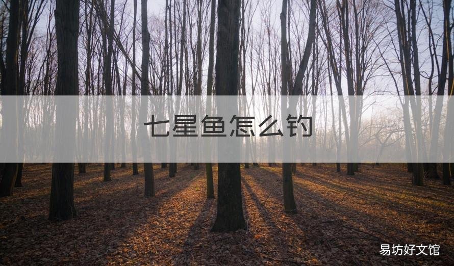 七星鱼怎么钓 七星鱼拿什么鱼饵钓