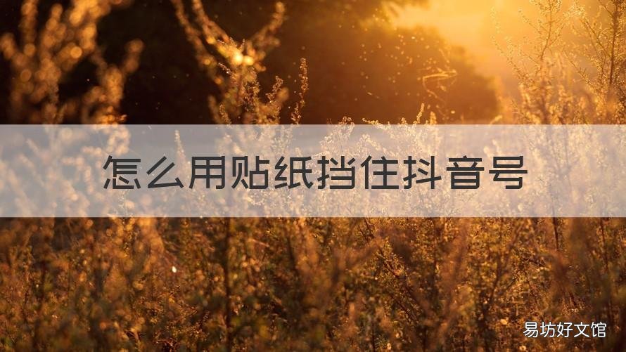 怎么用贴纸挡住抖音号 挡抖音号的专用贴纸