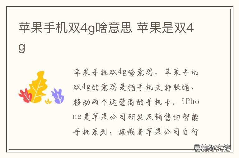 苹果手机双4g啥意思 iphone是双4g吗