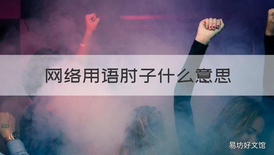 网络用语肘子什么意思 肘子的意思是什么
