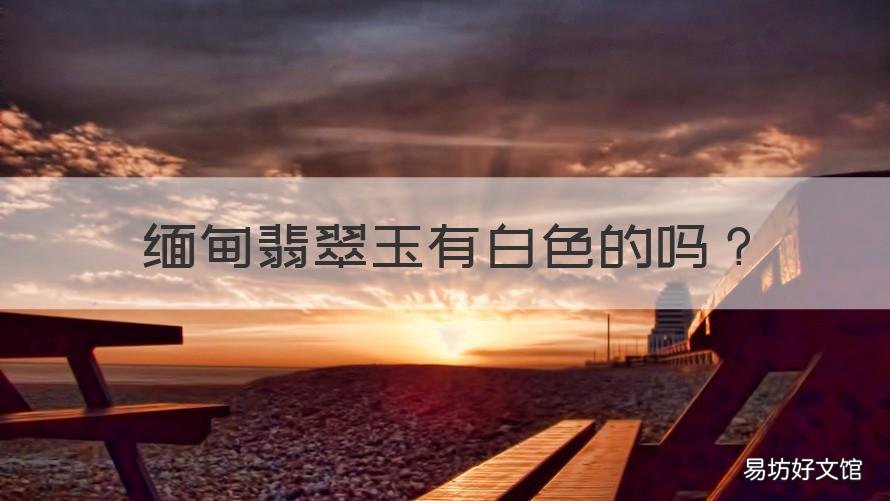 缅甸翡翠玉有白色的吗 白色缅甸玉值钱吗