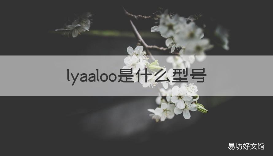 lyaaloo是什么型号 LYA是哪里