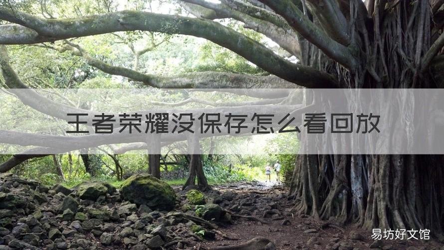 王者荣耀没保存怎么看回放 王者荣耀怎么看回放没有保存