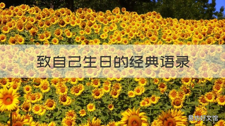 致自己生日的经典语录 生日唯美语录致自己