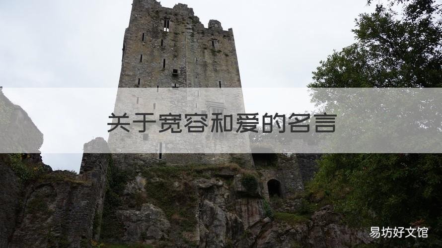 关于宽容和爱的名言 关于宽容 的名言