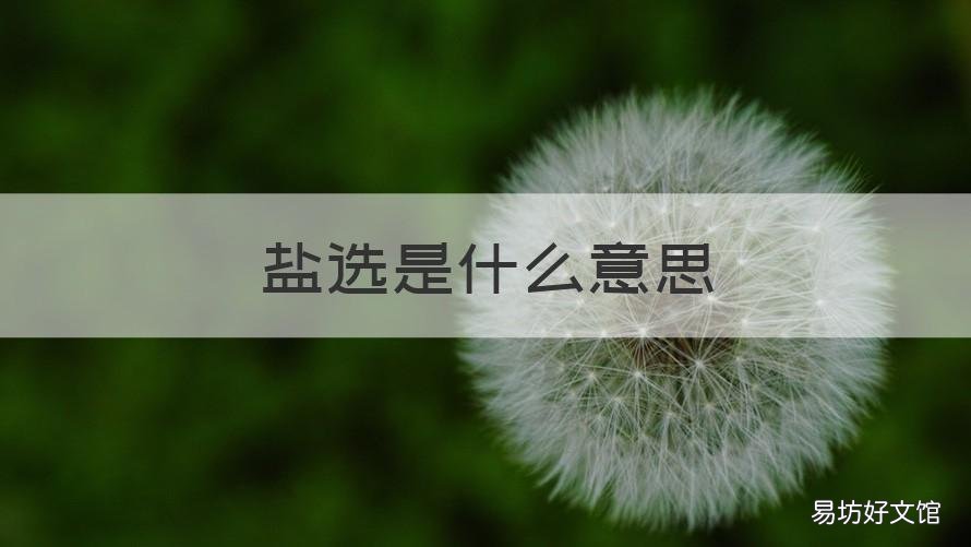 盐选是什么意思 盐选是啥意思