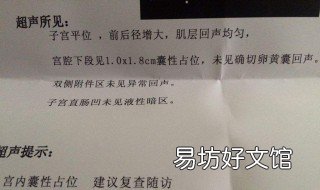 怀孕周期怎么记录 如何记录孕期