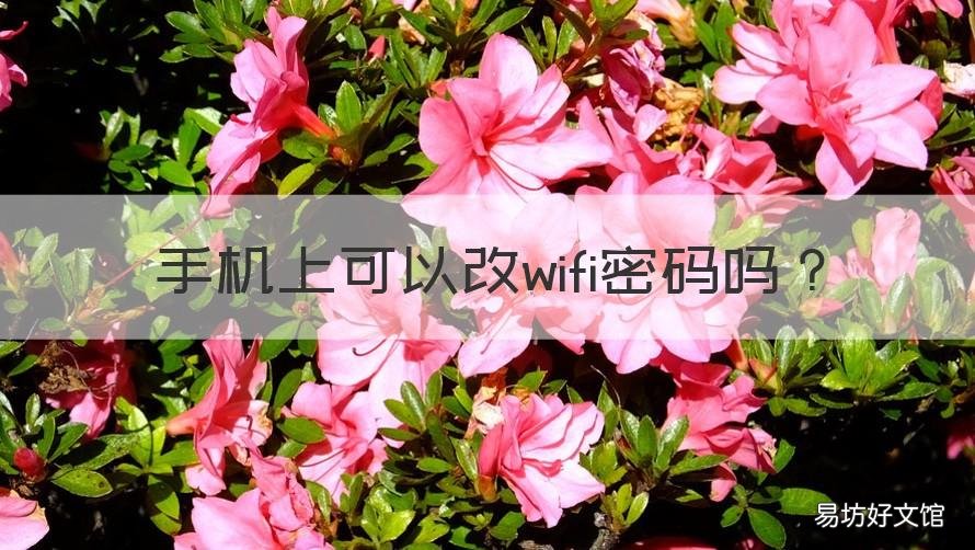 手机上可以改wifi密码吗 手机可以改WiFi密码吗