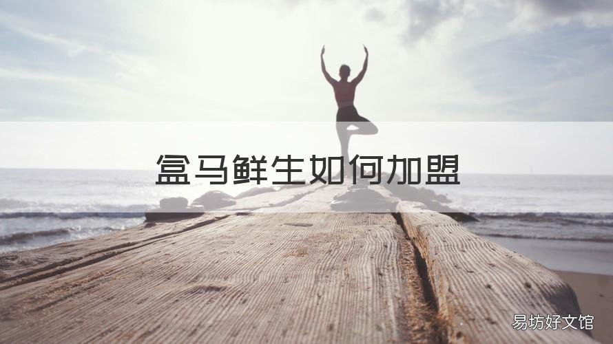 盒马鲜生如何加盟 盒马鲜生官方网站怎么加盟