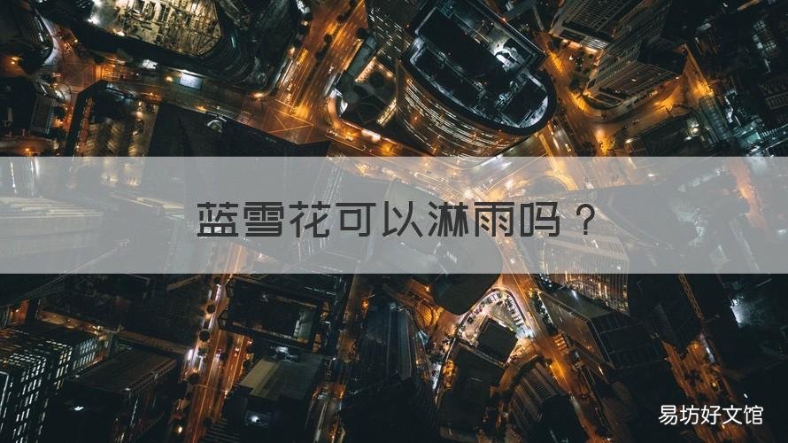 蓝雪花可以淋雨吗 蓝雪花可以淋雨吗贴吧