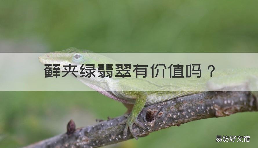 藓夹绿翡翠有价值吗 翡翠原石的绿藓