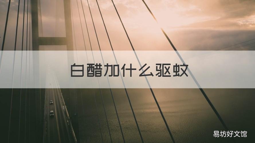 白醋加什么驱蚊 醋加什么驱蚊子