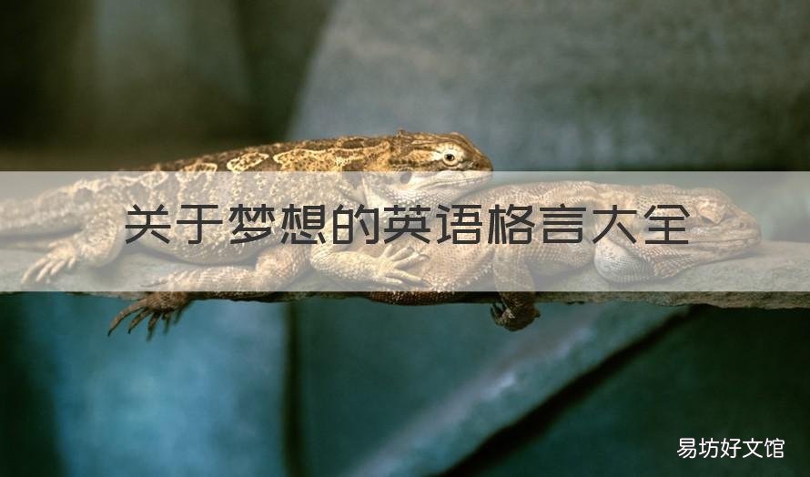 关于梦想的英语格言大全 关于梦想的英语格言大全初一