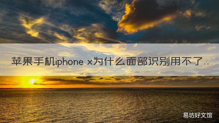 苹果手机iphone x为什么面部识别用不了 iphonex怎么面部识别