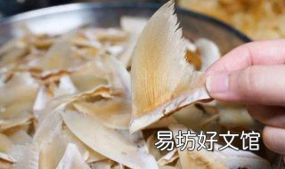 鱼翅怎么祛除异味 鱼翅为什么会有异味