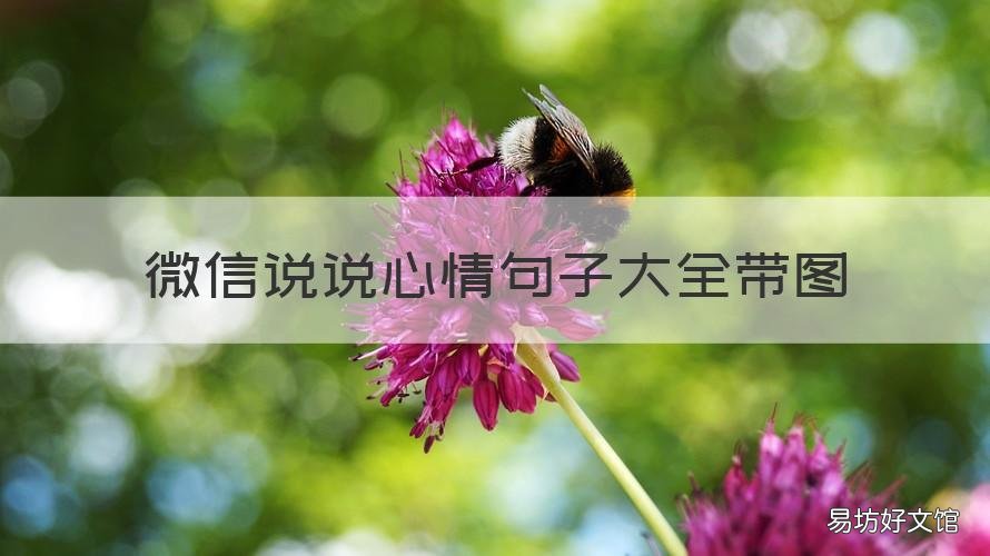 微信说说心情句子大全带图 微信说说心情句子简短带图