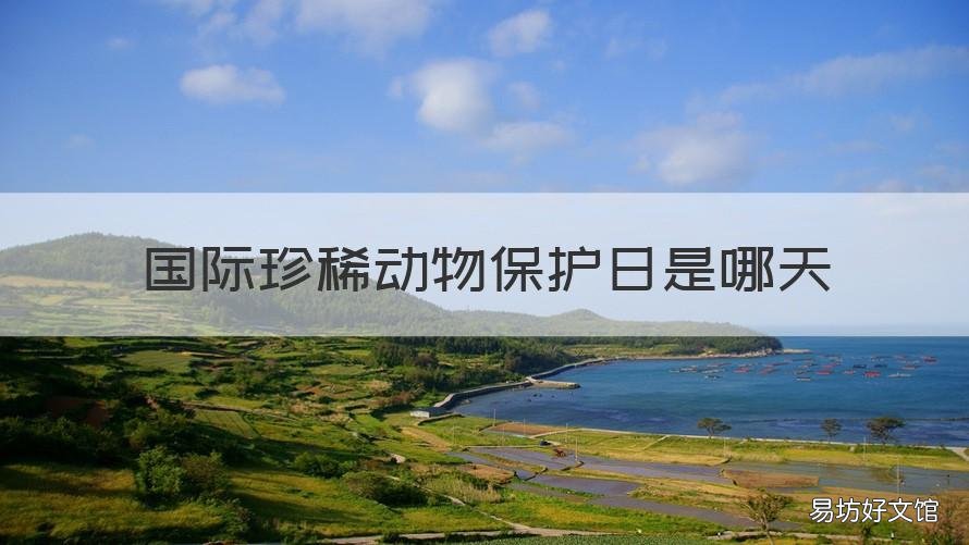 国际珍稀动物保护日是哪天 国际珍稀动物保护日是在哪一天