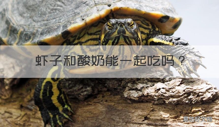 虾子和酸奶能一起吃吗 酸奶和虾子能不能一起吃