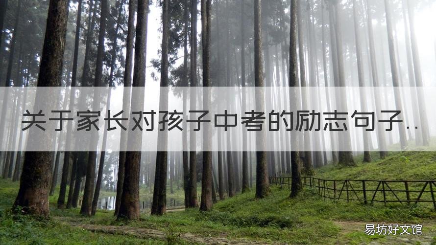 关于家长对孩子中考的励志句子 家长写给孩子中考冲刺励志句子