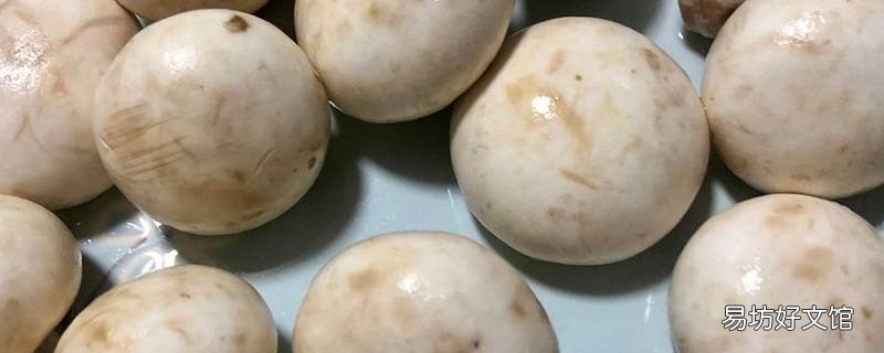 口蘑先切片还是先焯水 口蘑做的时候用焯水吗