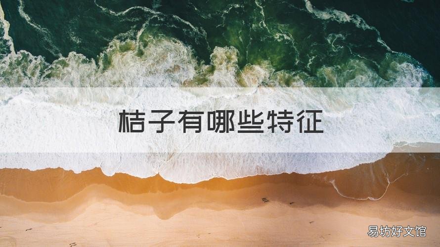 桔子有哪些特征 桔子有什么特征