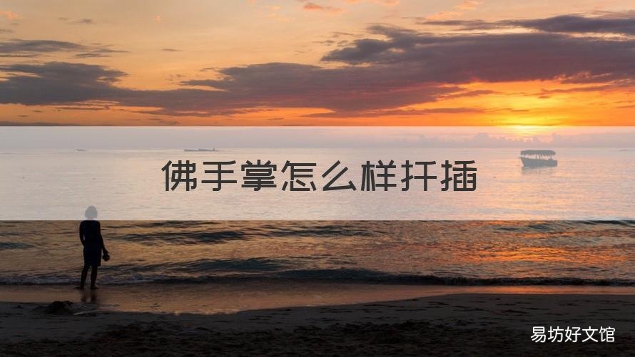 佛手掌怎么样扦插 佛手掌怎么样扦插视频