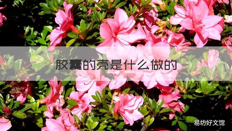 胶囊的壳是什么做的 胶囊外边的壳是什么做的