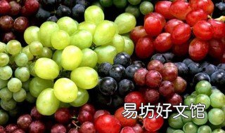 抗衰老抗氧化食物有哪些 抗氧化防衰老食物