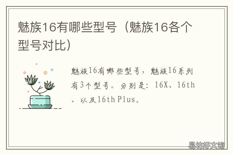 魅族16有哪些型号 魅族16有哪些型号参数