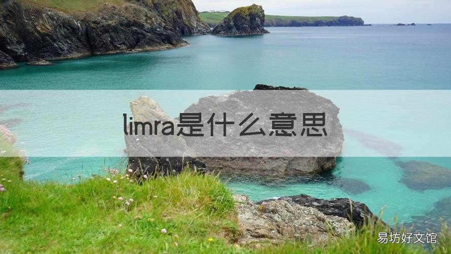limra是什么意思 limra是什么意思中文