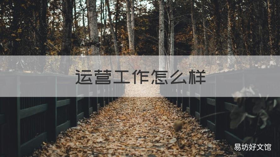运营工作怎么样 淘宝运营工作怎么样