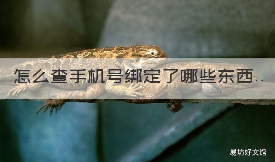 怎么查手机号绑定了哪些东西 怎么查手机号绑定了哪些东西的软件
