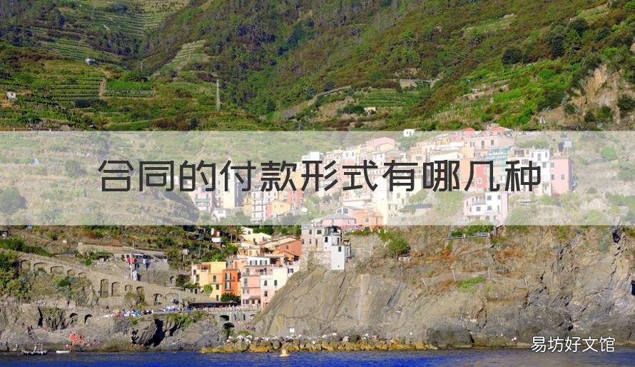 合同的付款形式有哪几种